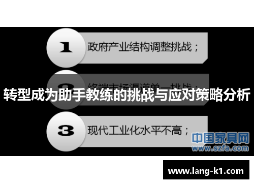 转型成为助手教练的挑战与应对策略分析