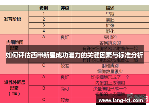 如何评估西甲新星成功潜力的关键因素与标准分析 如何评估西甲新星成功潜力的关键因素与标准分析
