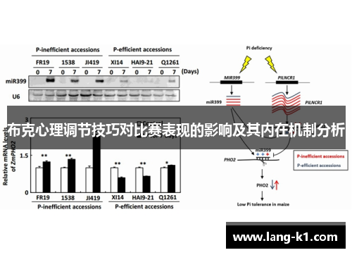 布克心理调节技巧对比赛表现的影响及其内在机制分析 布克心理调节技巧对比赛表现的影响及其内在机制分析